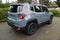 2020 Jeep Renegade Deserthawk